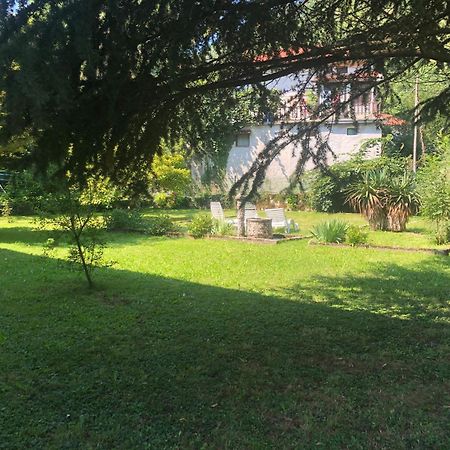 Vila Labod, Unique Villa At The Lake Most na Soči Exterior foto
